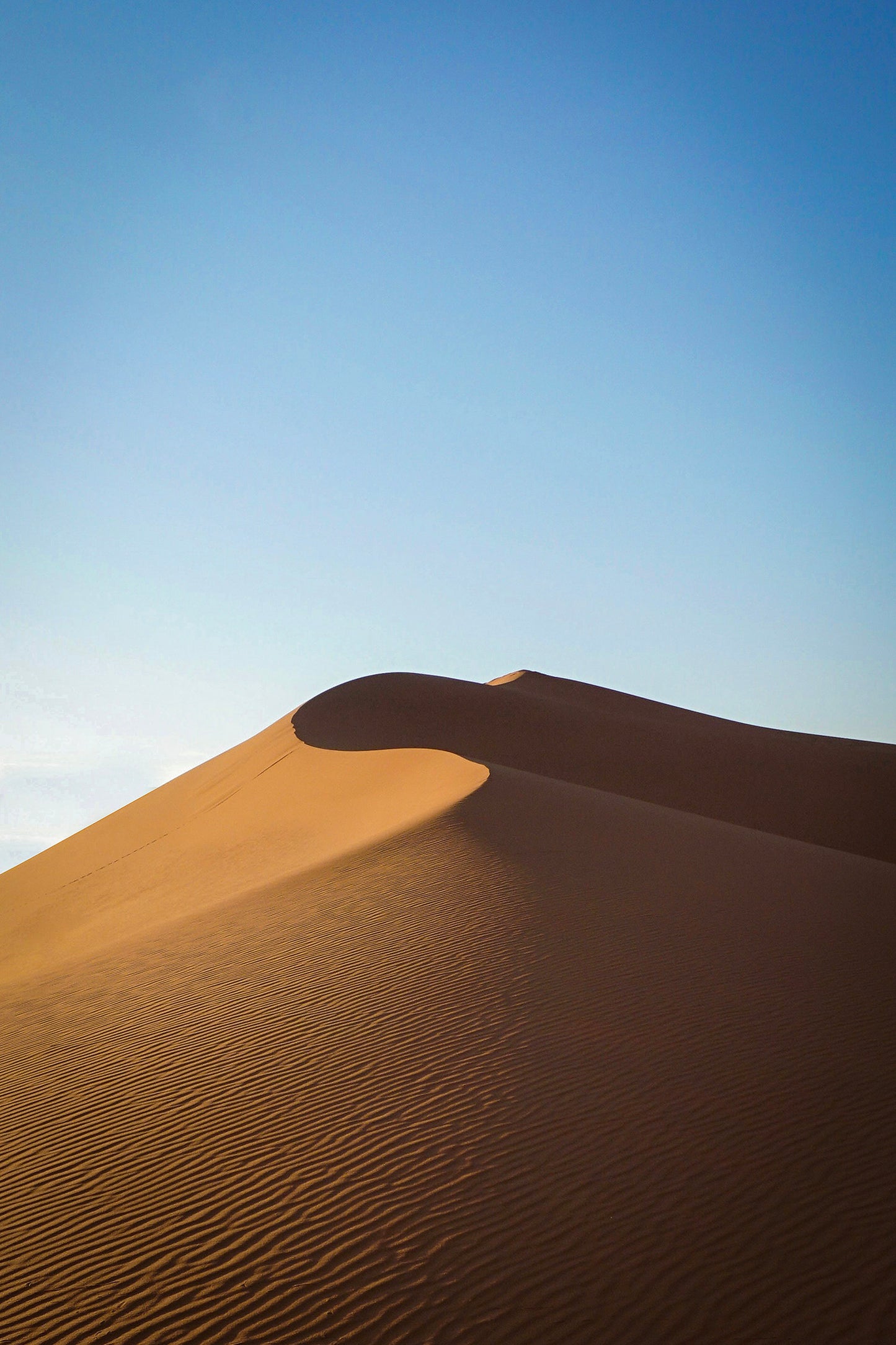 Dune