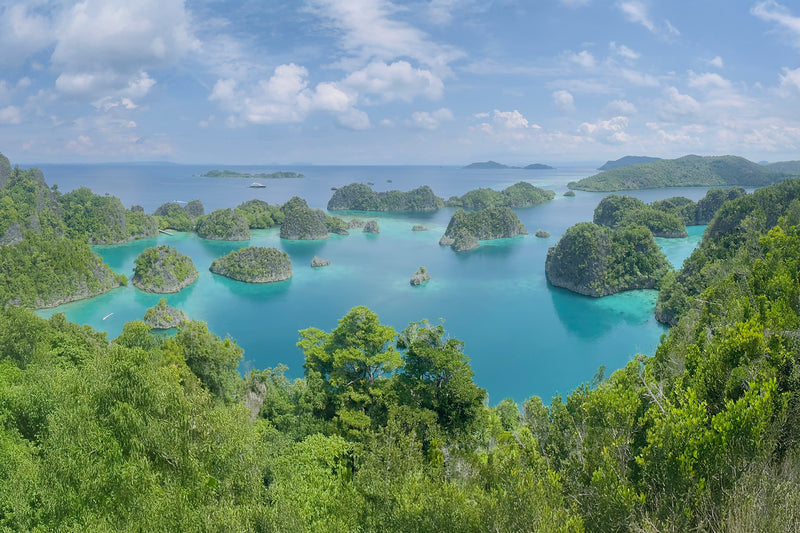 Pianemo, Raja Ampat
